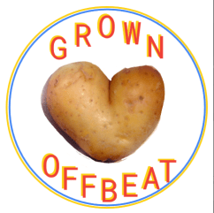 grown offbeat